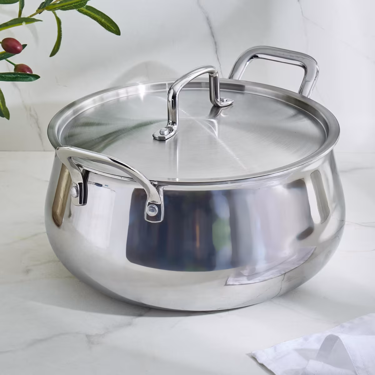 Valeria Carin Stainless Steel Induction Compatible Handi with Lid - 6.8L in Silver