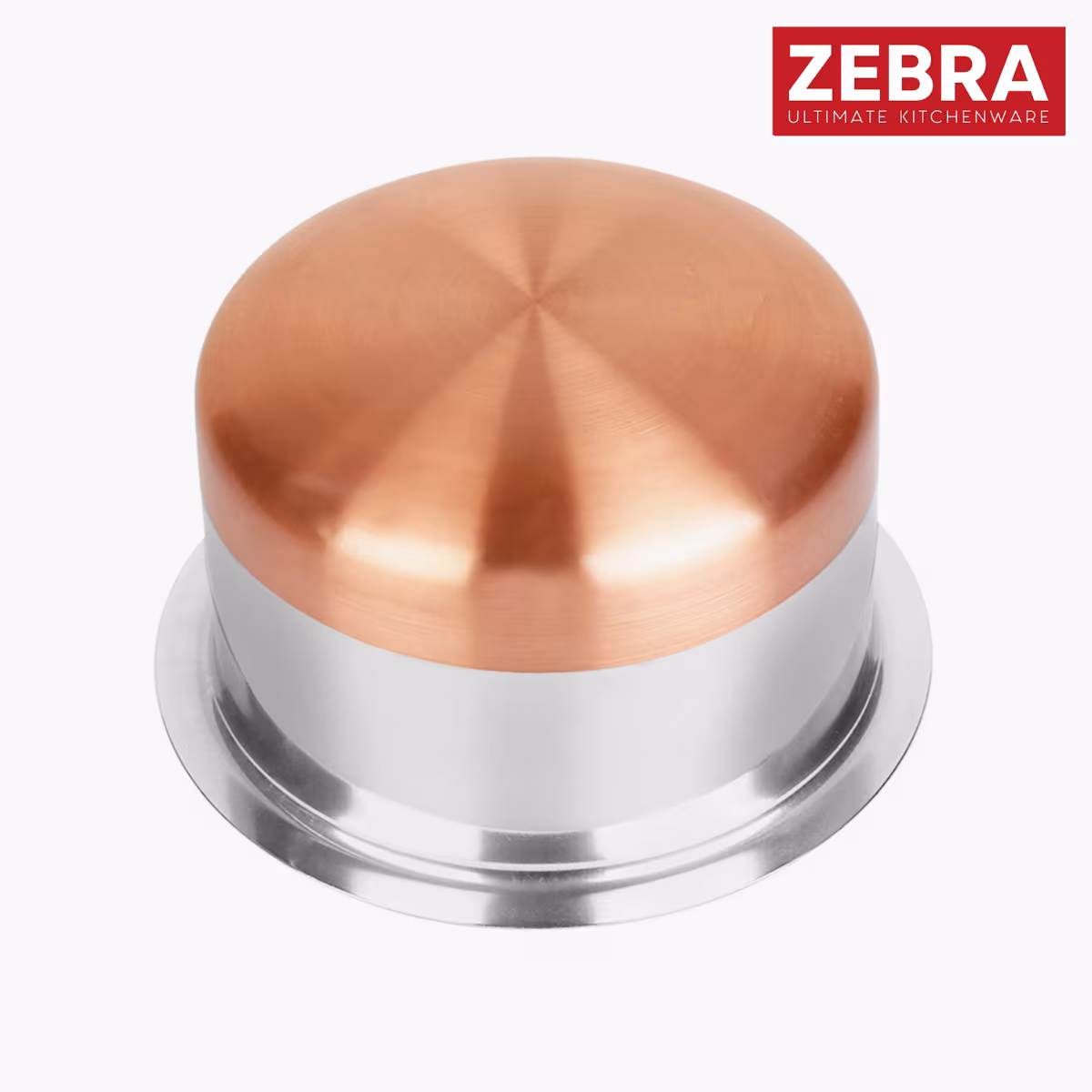 ZEBRA Stainless Steel Copper Bottom Tope - 1L in Silver