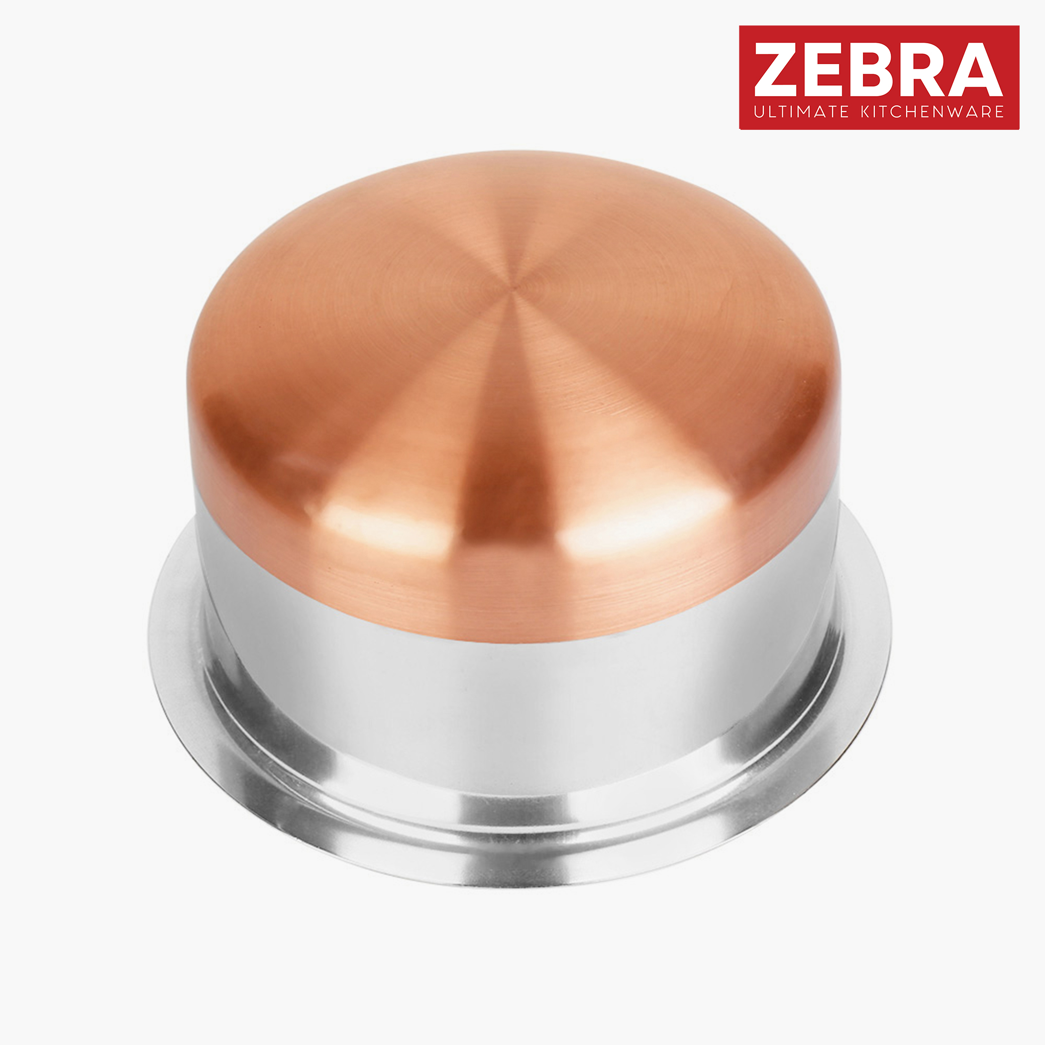 ZEBRA Stainless Steel Copper Bottom Tope - 1L in Silver