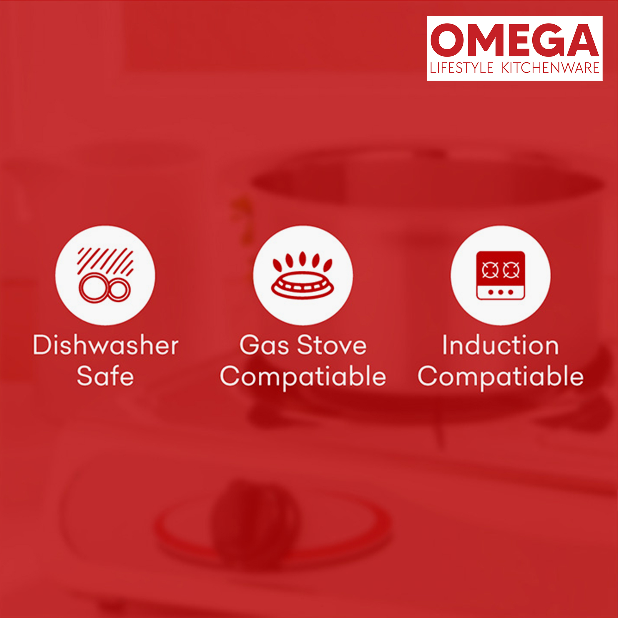OMEGA 2Pcs Stainless Steel Flat Bottom Cookware Set in Silver