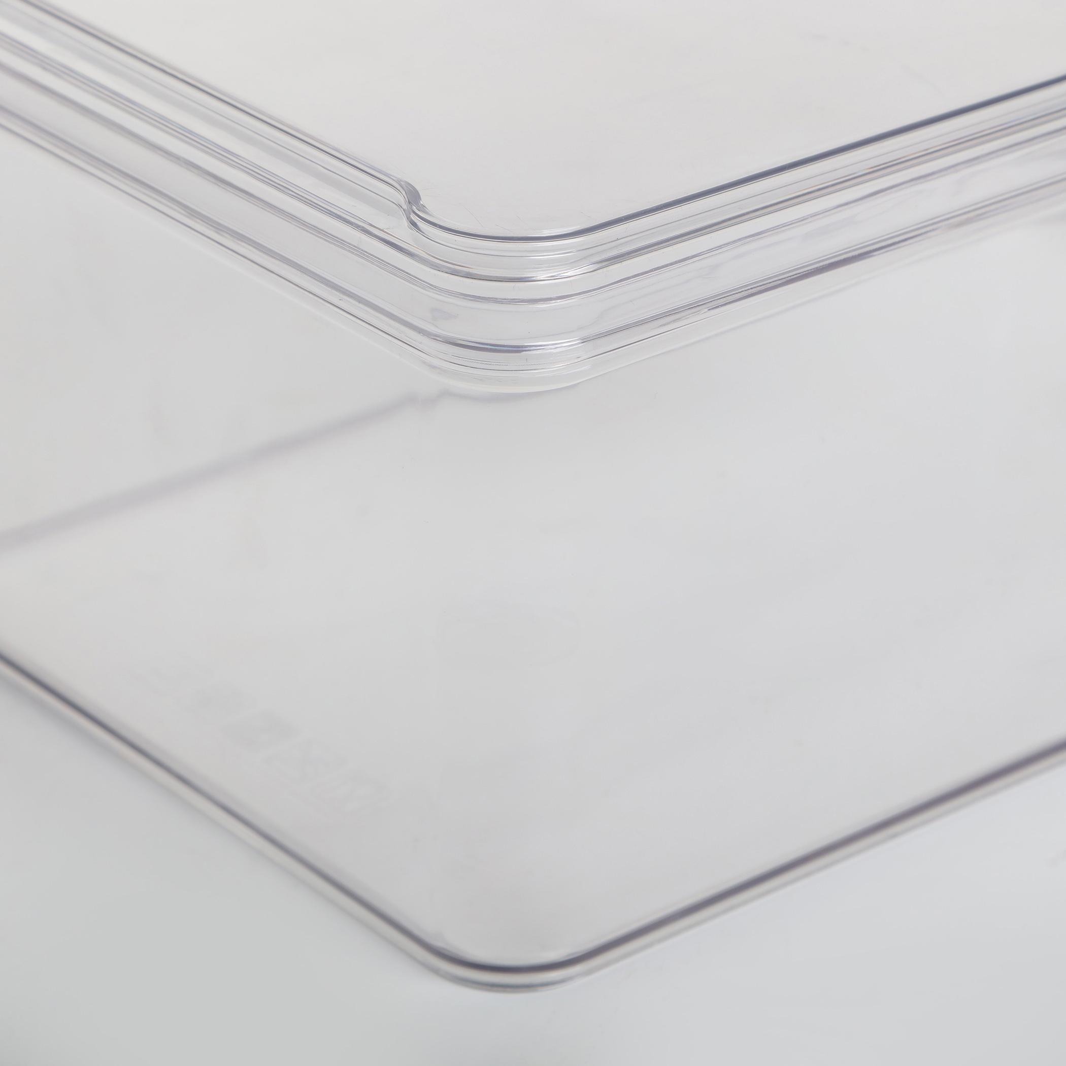 Orion Elfin Fridge Storage Box with Lid in Transparent