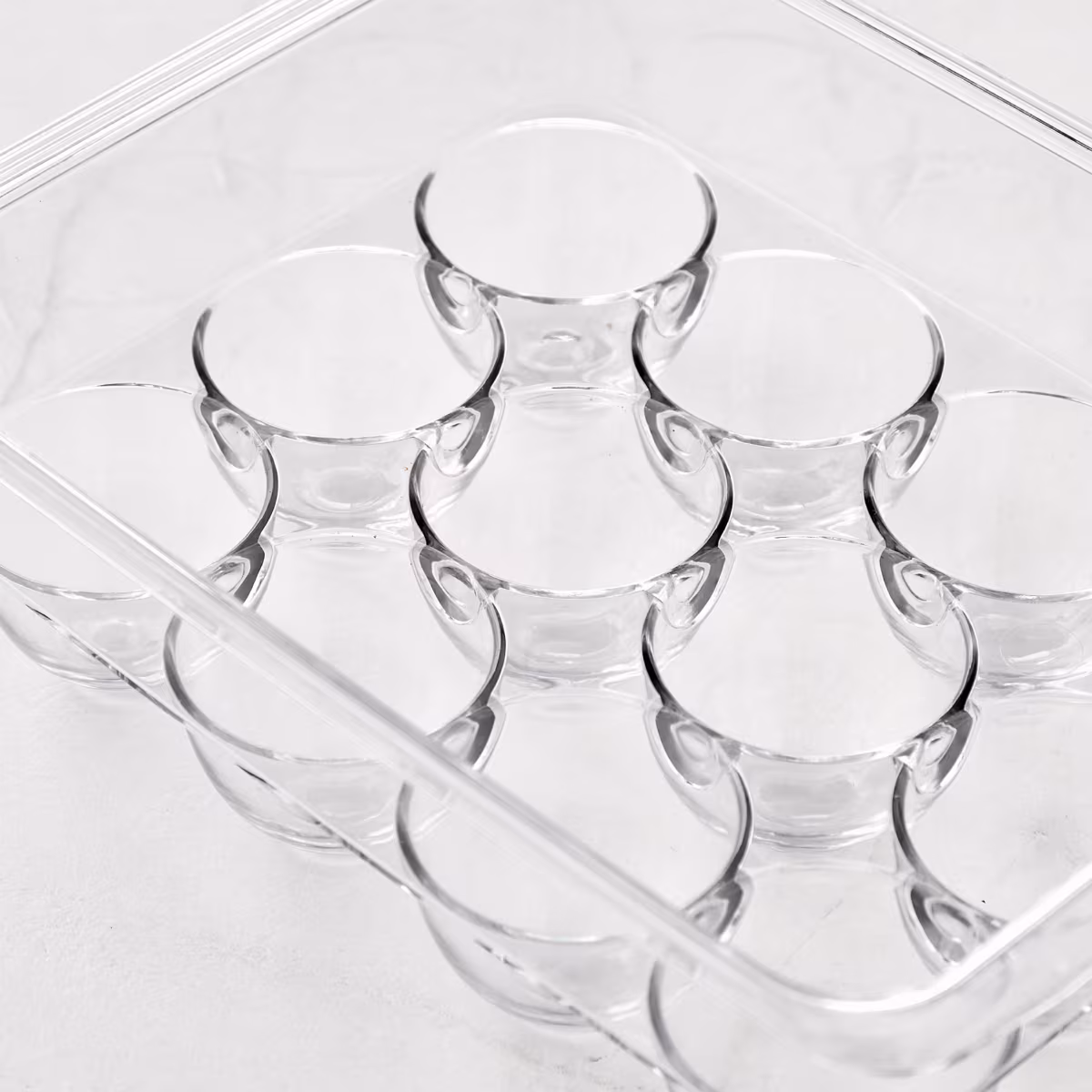 Orion Elfin PET Egg Holder with Lid in Transparent