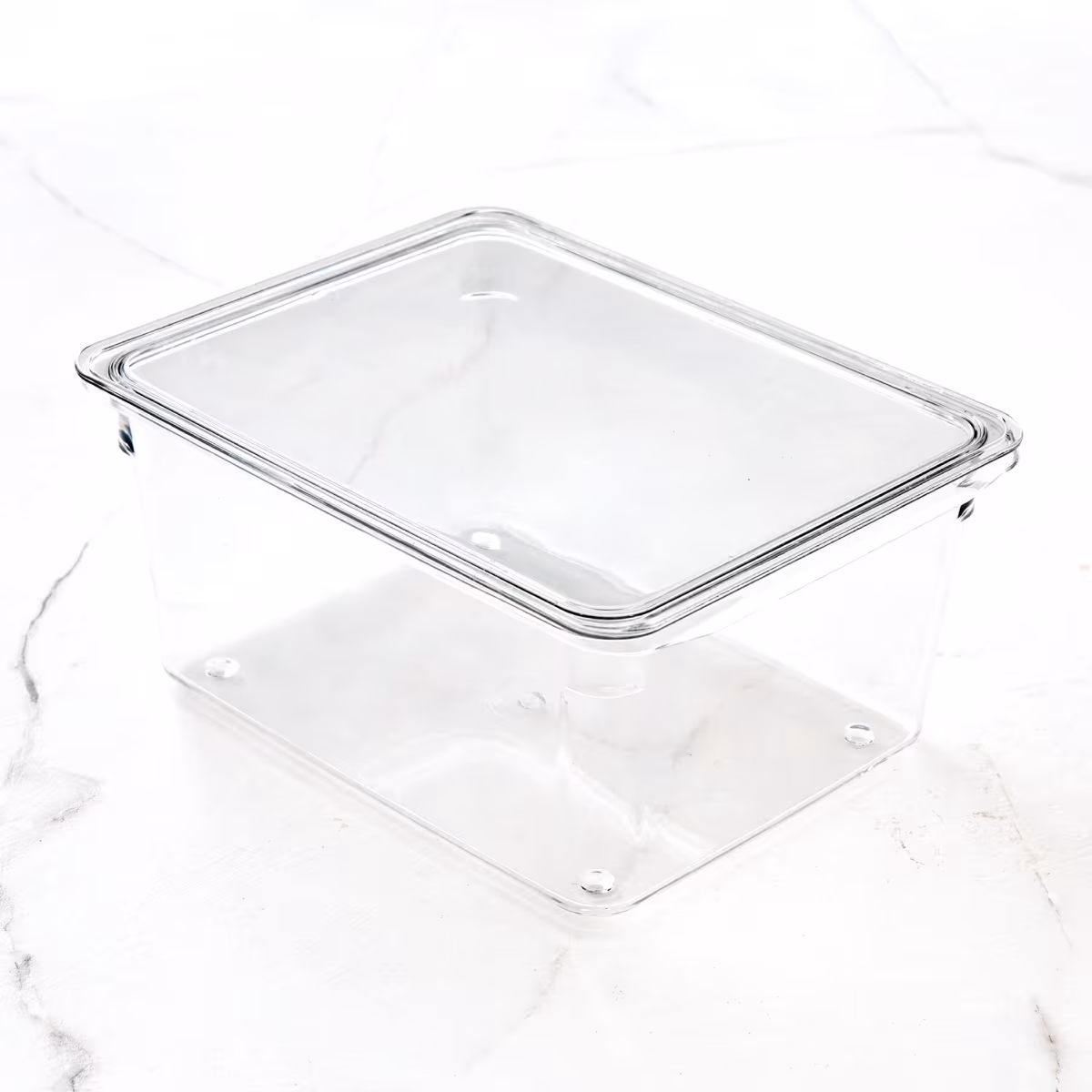 Orion Elfin PET Fridge Storage Box with Lid in Transparent