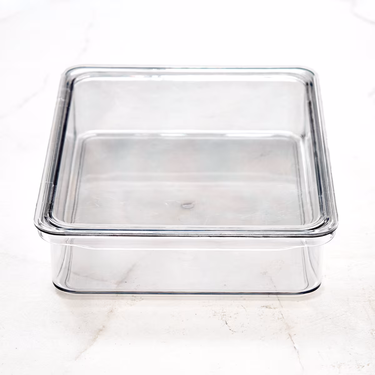 Orion Elfin PET Fridge Storage Box with Lid in Transparent