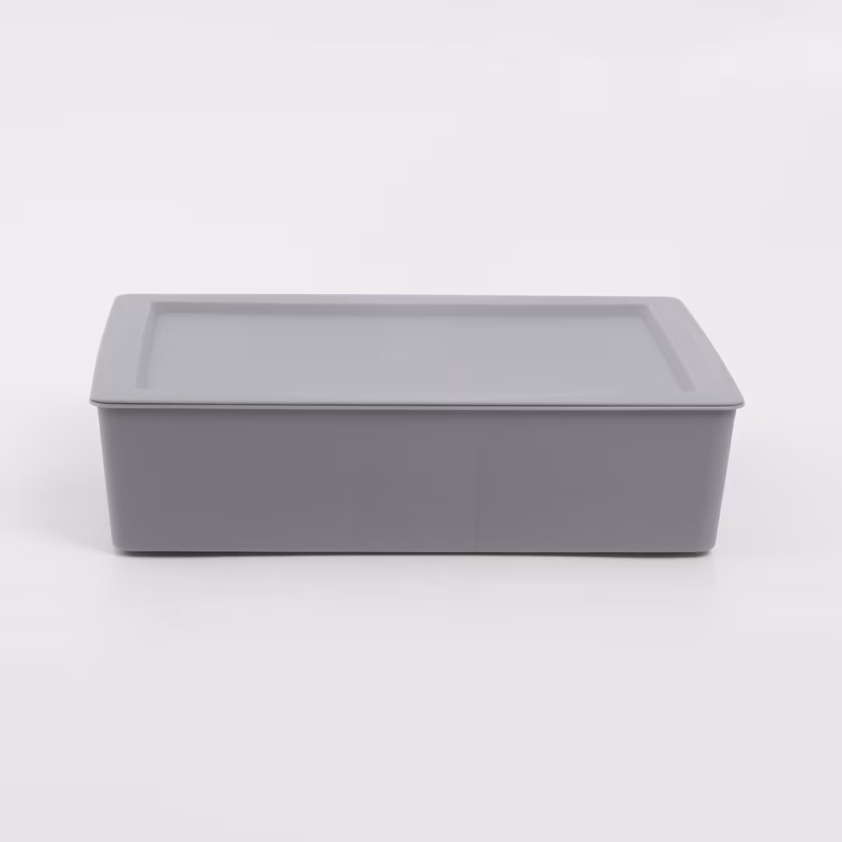 Regan Ashley Polypropylene Drawer Organizer with Lid in Grey