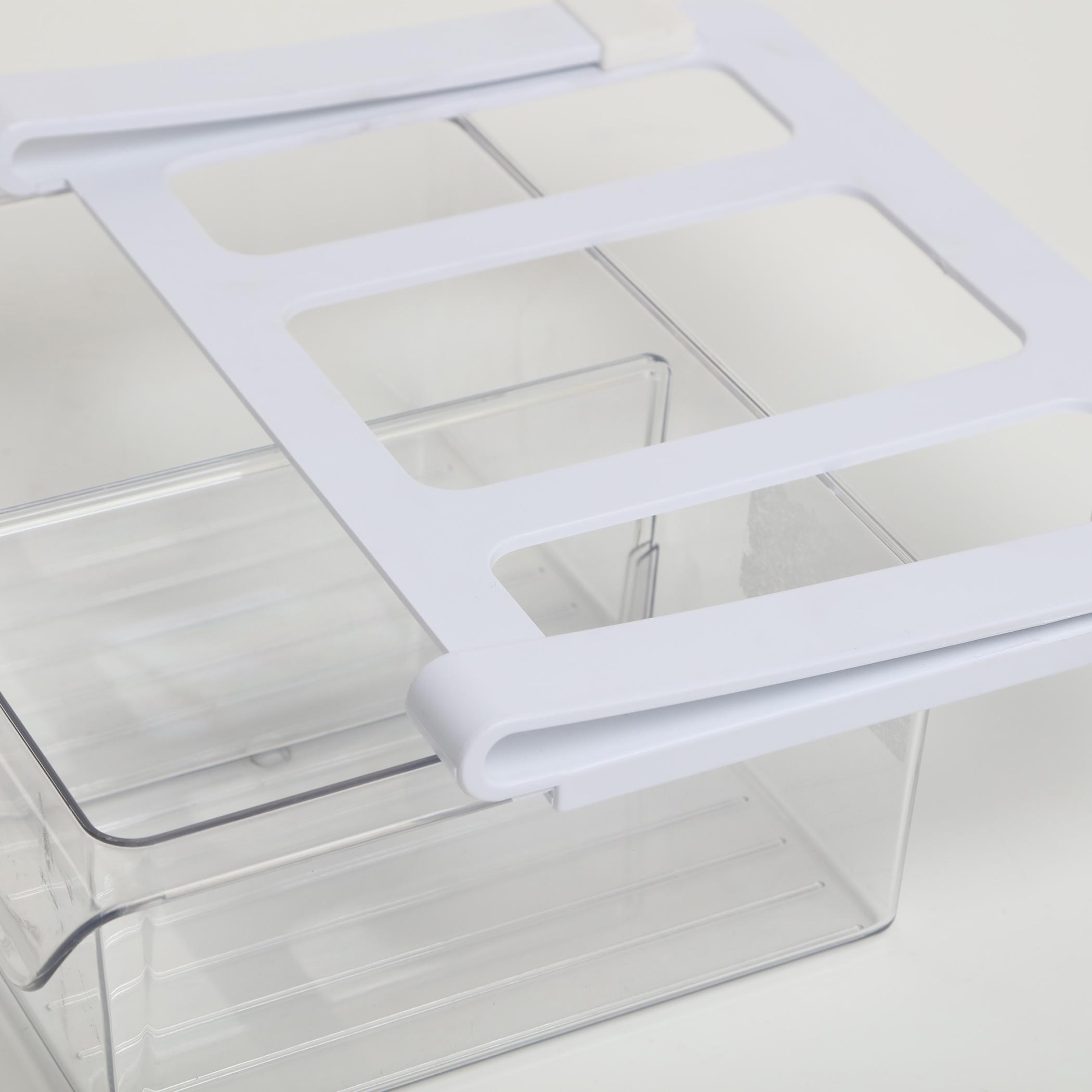 Orion Fisker Under Shelf Fridge Rack in Transparent