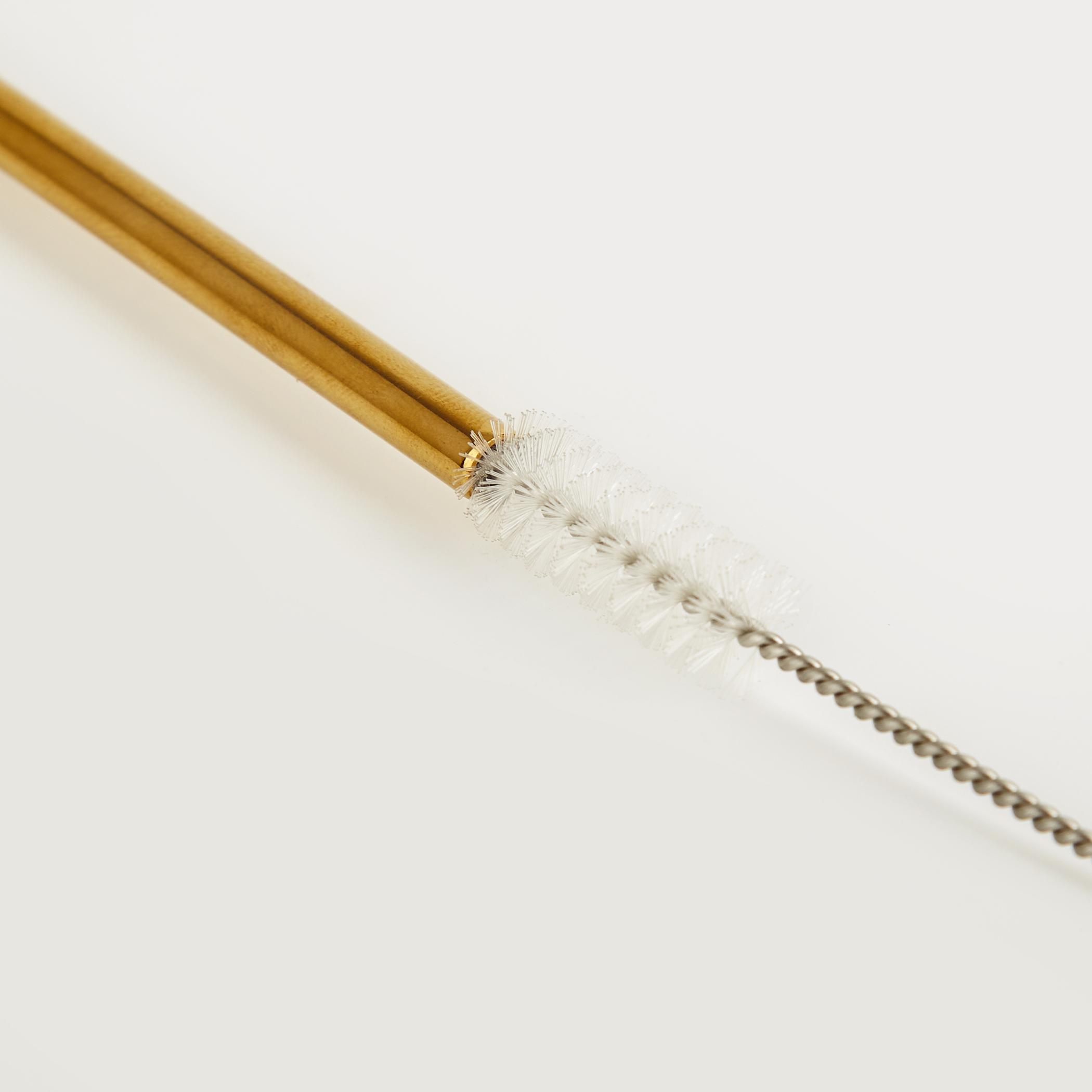 Wexford Oregon 6Pcs Stainless Steel Straw Set in Gold