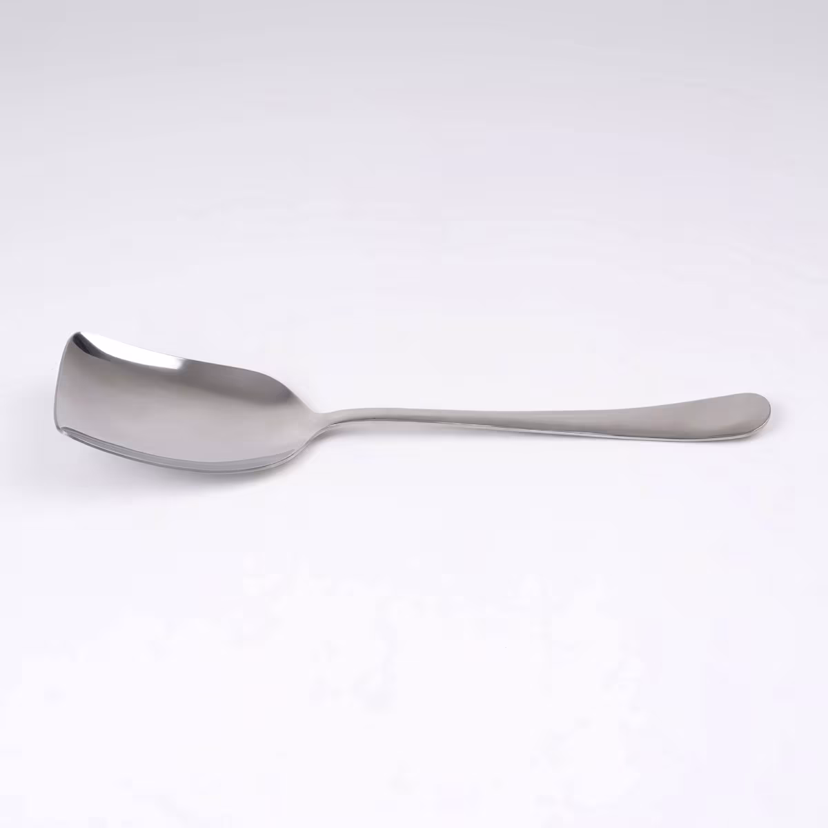Glister Rosemary Stainless Steel Rice Spoon in Silver